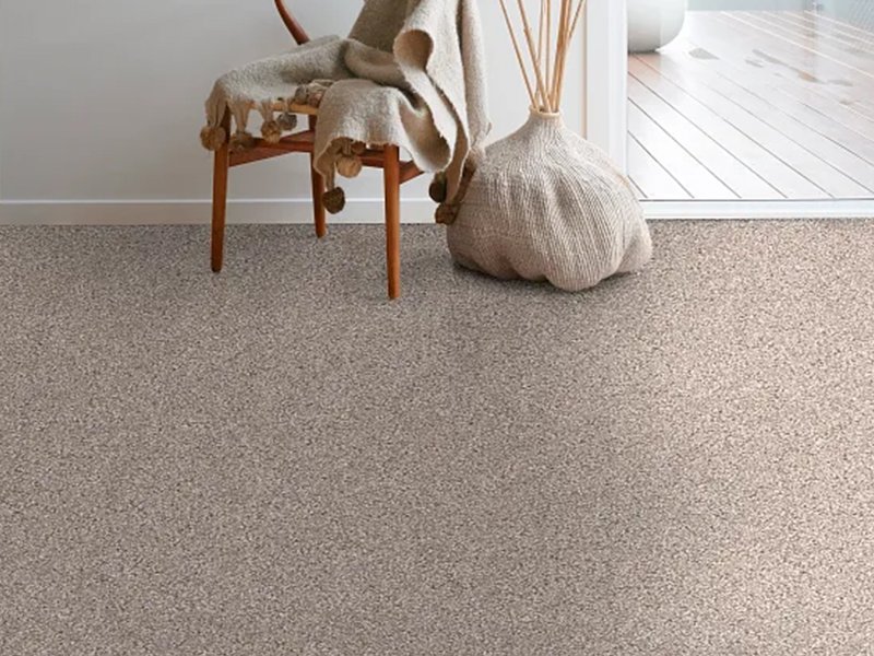 Best Types of Carpet for High-Traffic Areas